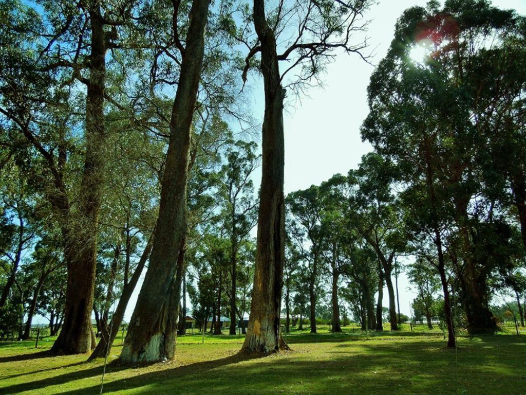 Inn The Tuarts Guest Lodge Busselton Accommodation - Adults Only Eksteriør billede